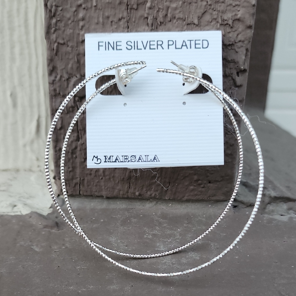 Silver Hoop Earrings
